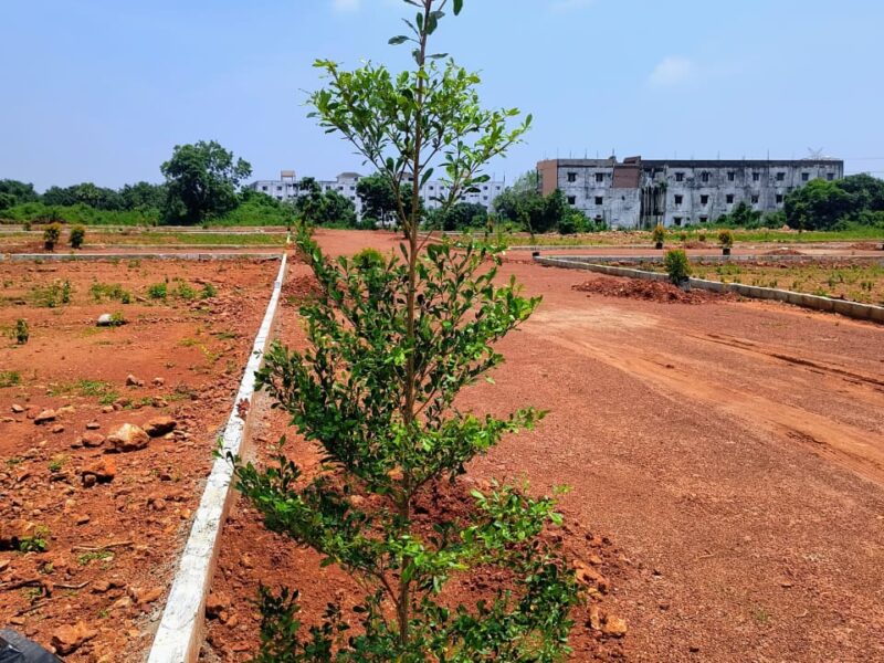 Investment open plots for sale near annavaram highway..