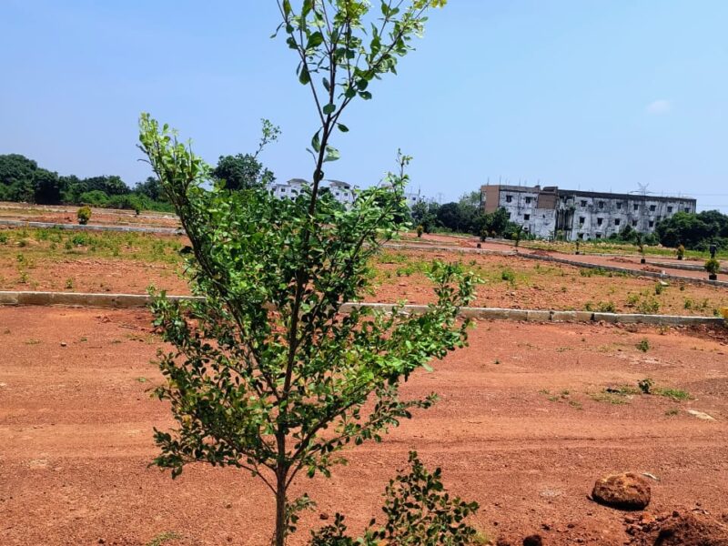 Investment open plots for sale near annavaram highway..