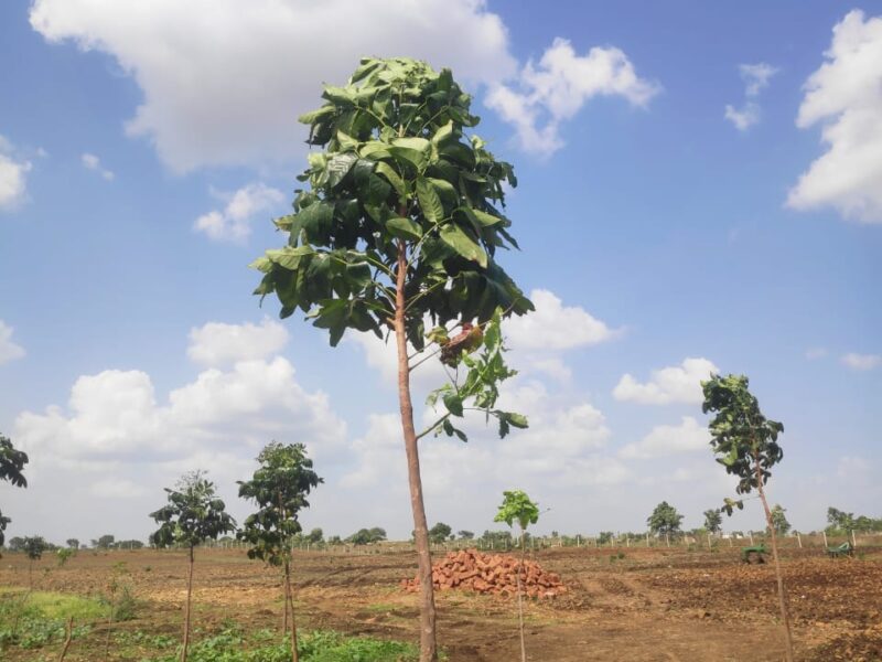 Farm House Plots