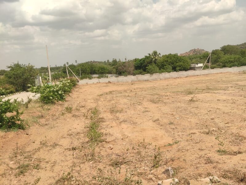 YTDA Approved Cottage Plots